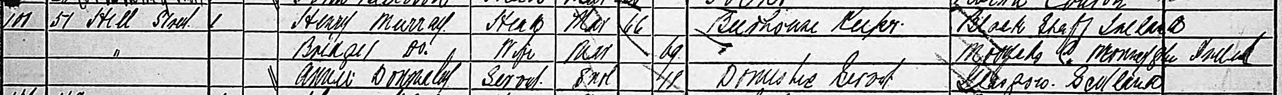 1881 04 03 Henry Murray Census crop