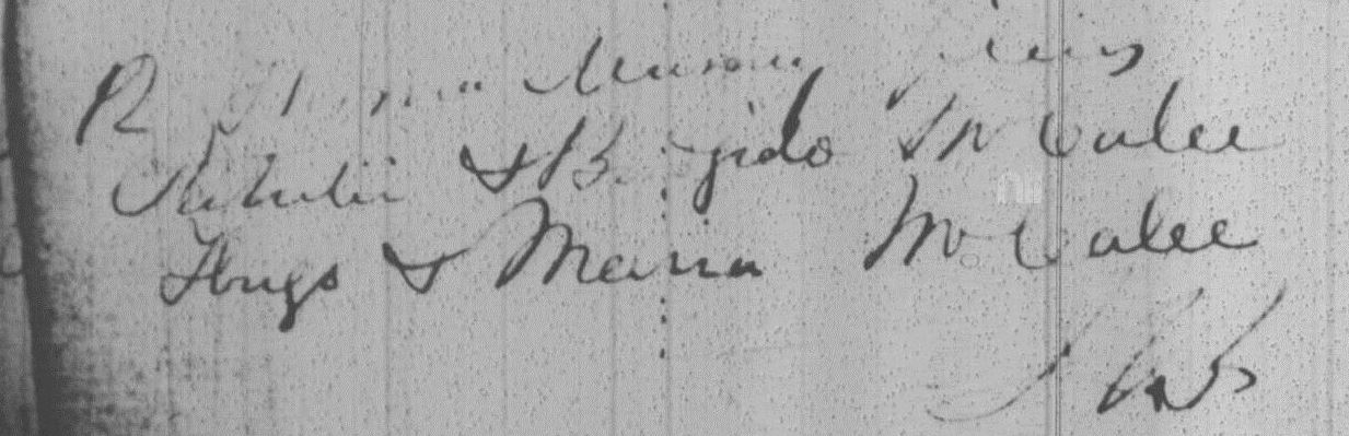 1857 Thomas Murray son of Richard & Bridget McCabe Innis fr NLI 12 06 18 crop
