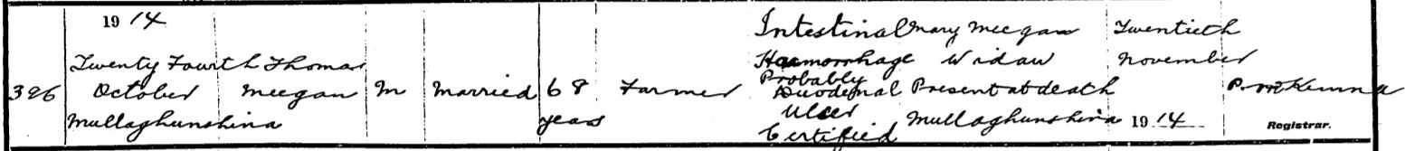 1914 10 24 DC Thomas Meegan widow Mary from IG 18 07 18