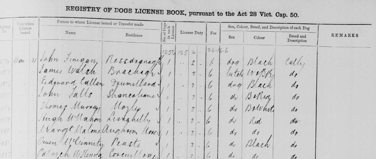 1873 03 31 Thomas Murray B & W collie licence from FMP 08 08 18