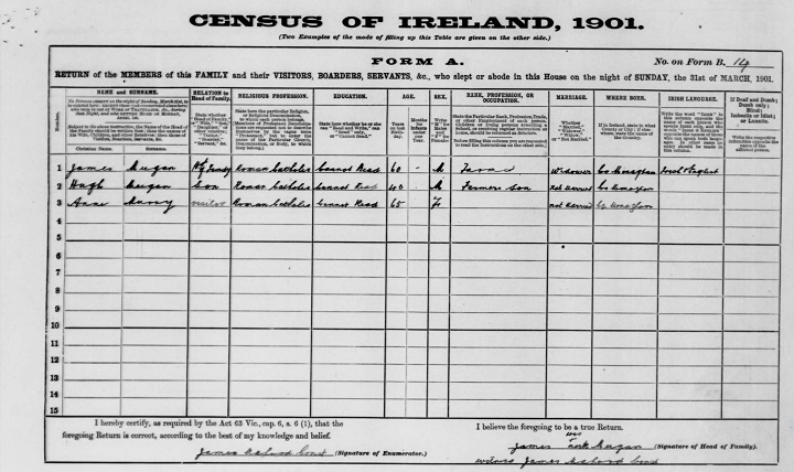 1901 03 31 Mullaghunshinagh Anne Murray & James Meegan from Ancestry 04 11 18 sm 50